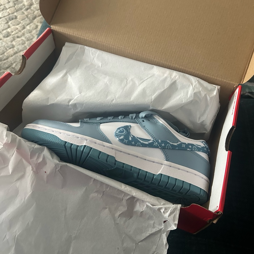 Women Nike Dunks size 9